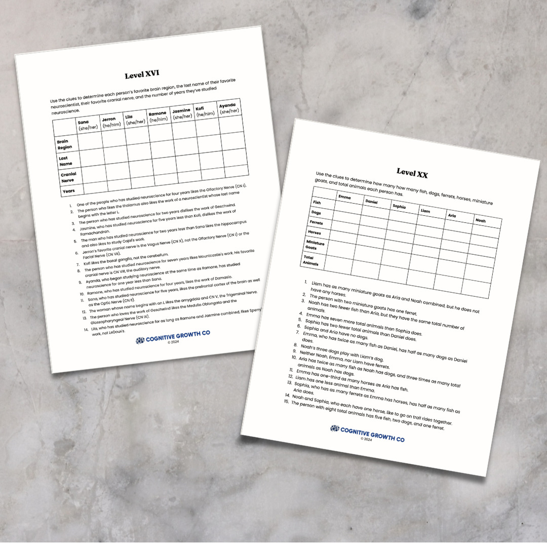 Book 5 Pre-Order: Levels 16 - 20